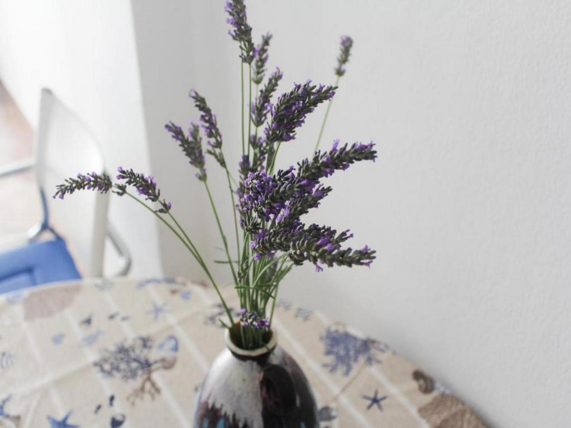 Apartmani Lucia Biograd 비오그라드나모루 객실 사진